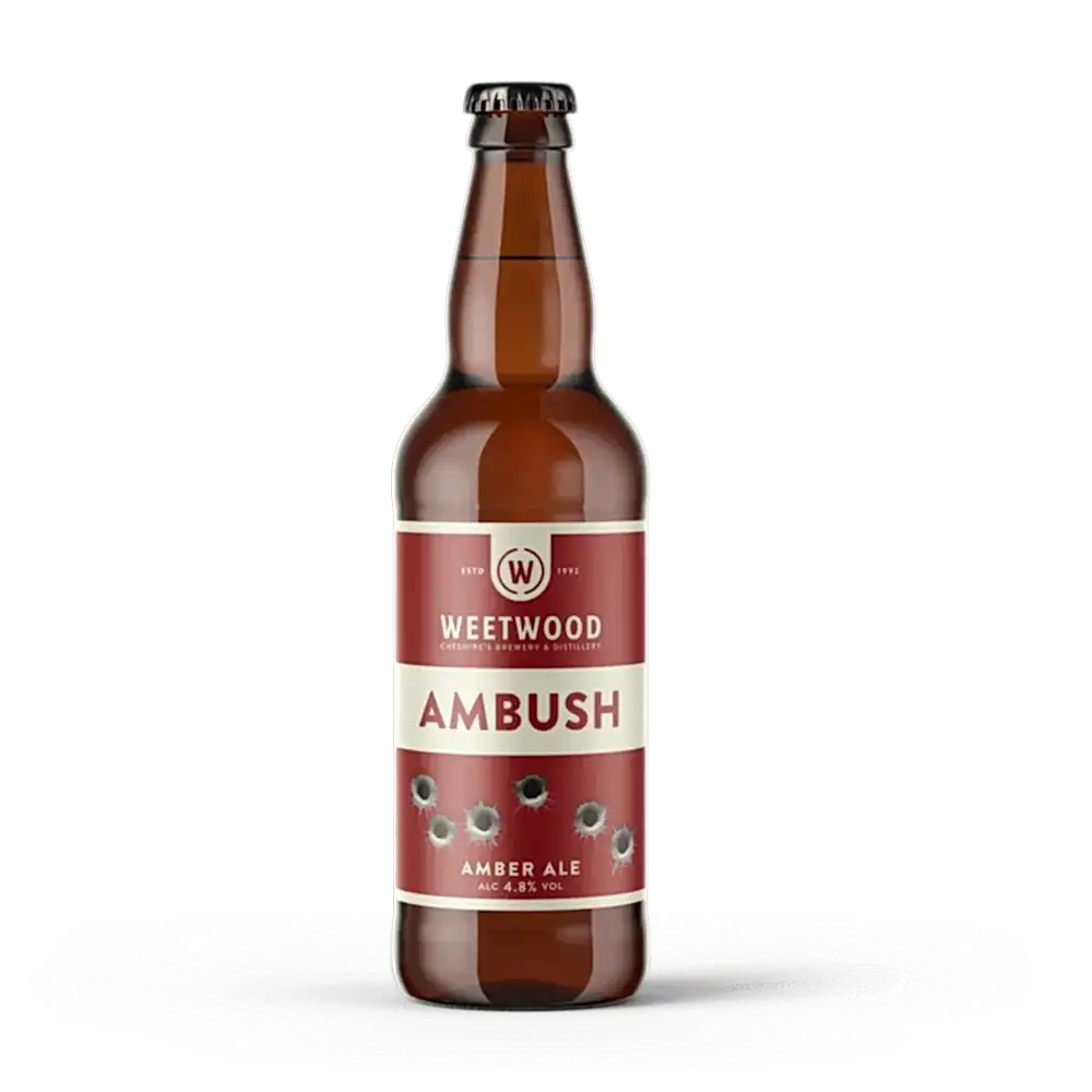 Ambush 2 AMB 500 1