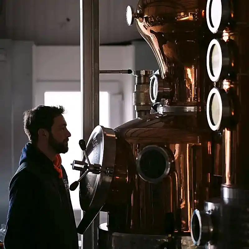 whiskey-process-weetwood 6 whiskey process weetwood